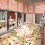 Vraj-Yatra-2014- (1172)